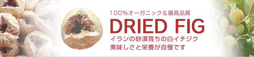 ドライイチジク 100%オーガニック&最高品質 DRIED FIG イランの砂漠育ちの白イチジク美味しさと栄養が自慢です