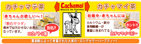 �s�D�̐l���D�w������I[�J�`���}�e��][�J�`���}�C��]