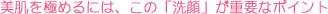 �n�[�g�u���V