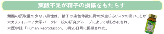 男性不妊には葉酸