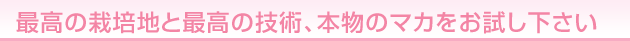 �ō��͔̍|�n�ƍō��̋Z�p�A�{���̃}�J��������������