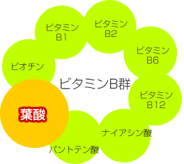 �r�^�~��B�Q�̃C���[�W