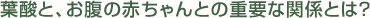 �t�_�ƁA�����̐Ԃ����Ƃ̏d�v�Ȋ֌W�Ƃ́H