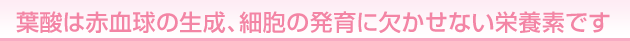 �t�_�͐Ԍ����̐����A�זE�̔���Ɍ������Ȃ��h�{�f�ł�