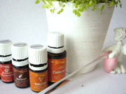 ニューロオリキュラー | Young Living ニューロオリキュラー