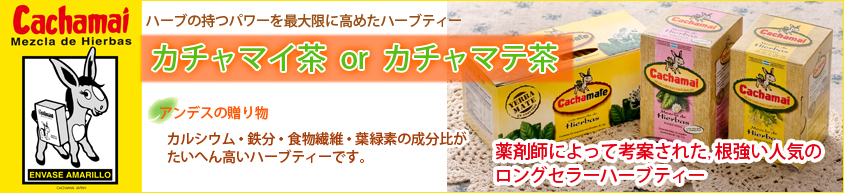 カチャマテ茶|カチャマイ茶