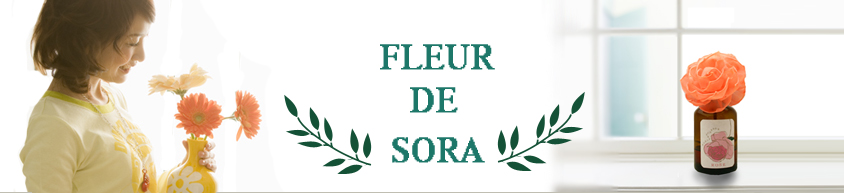 �\���t�����[�f�B�t���[�U�[